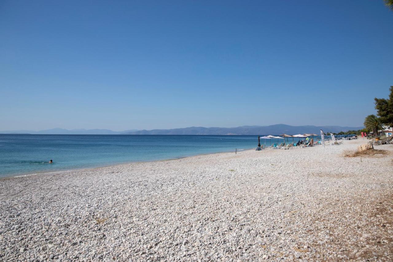 Seaside Haven Kineta 빌라 외부 사진